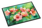 Delaware Peach Blossom in Watercolor Doormat Front Door Mat Indoor Outdoor Rugs for Entryway, Non Slip Washable Low Pile, 24H X 36W