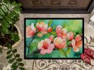 Delaware Peach Blossom in Watercolor Doormat Front Door Mat Indoor Outdoor Rugs for Entryway, Non Slip Washable Low Pile, 24H X 36W