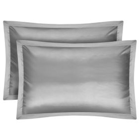 2 Pack Soft Silky Satin Pillow Case Hypoallergenic Breathable Bed Pillow Cover Queen Size Pillowcase Great for Hair Skin (Option: Cgase(Silver)