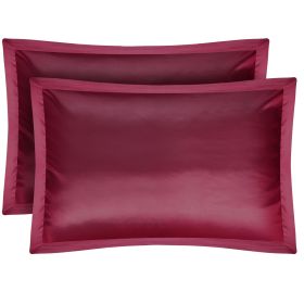 2 Pack Soft Silky Satin Pillow Case Hypoallergenic Breathable Bed Pillow Cover Queen Size Pillowcase Great for Hair Skin (Option: Bgase(Burgandy)